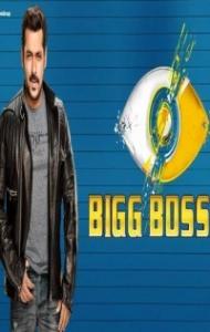 Bigg Boss 13 (2019) TV Shows