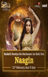 Naagin - Season 6 (2022) TV Show