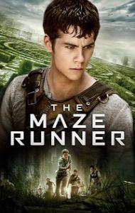 The Maze Runner (2014) Hindi Dubbedd