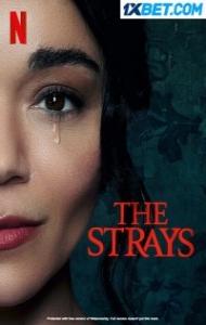 The Strays (2023) Hindi Dubbed