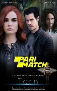 Torn A Wicked Trilogy (2022) Hindi Dubbed